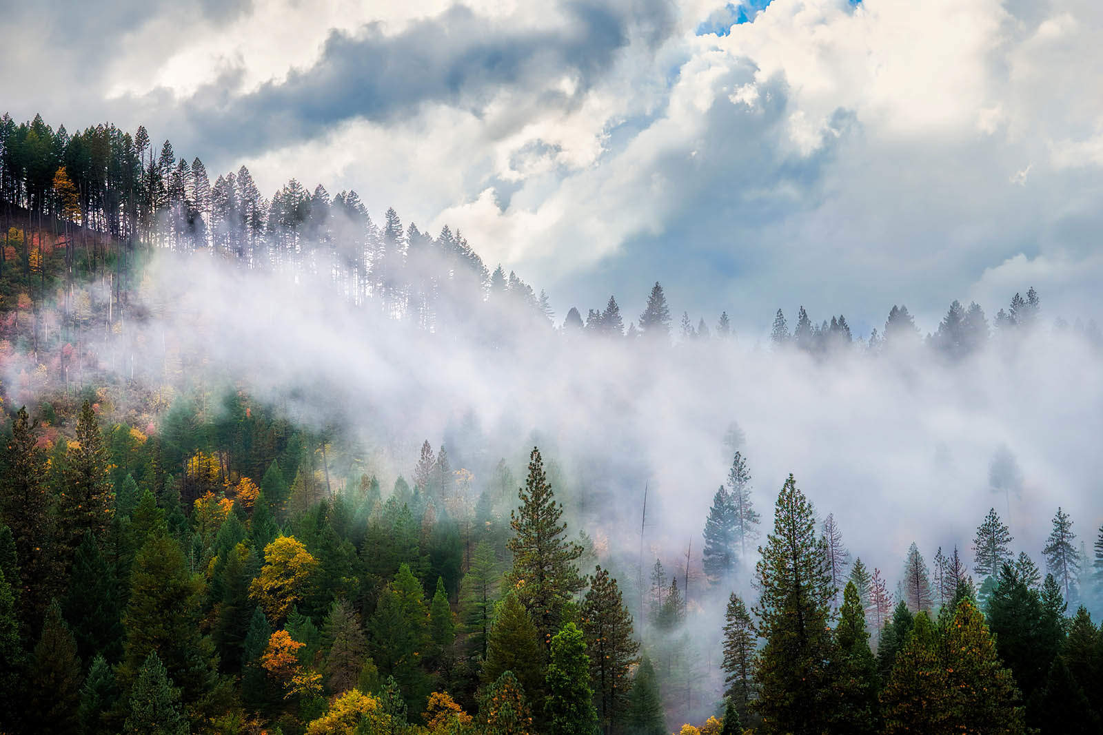 Feather River Canyon Storm