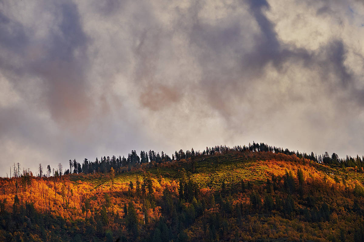 Fall in the Feather River Canyon