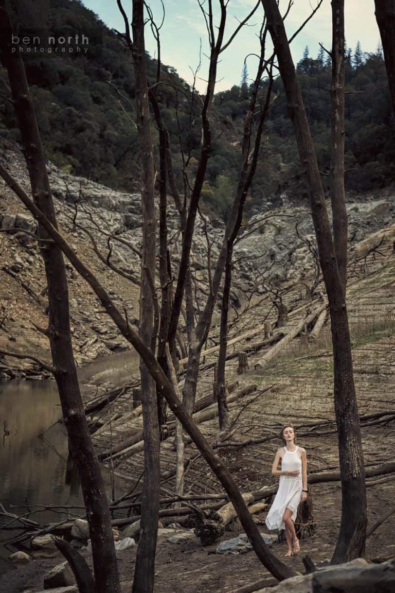 Fashion and lifestyle photography in a dead forest. The model is wearing a high neck Free People slip